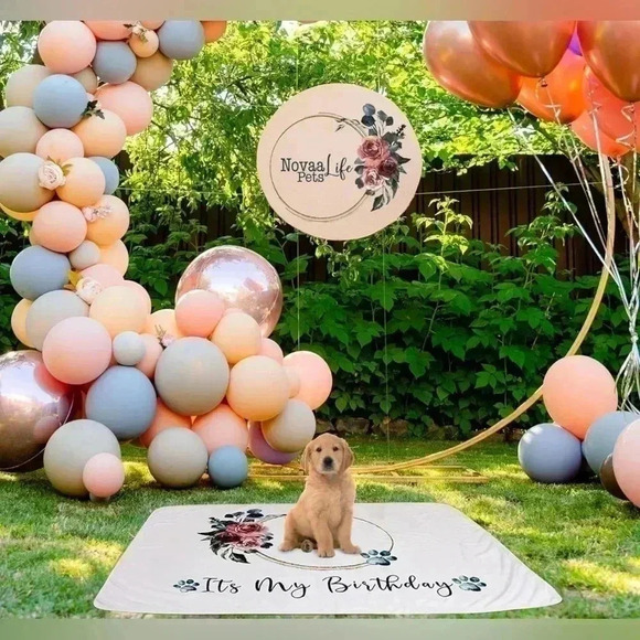 Pet Birthday Blanket for your photo opportunities for your pet-New in Bag - Picture 3 of 3